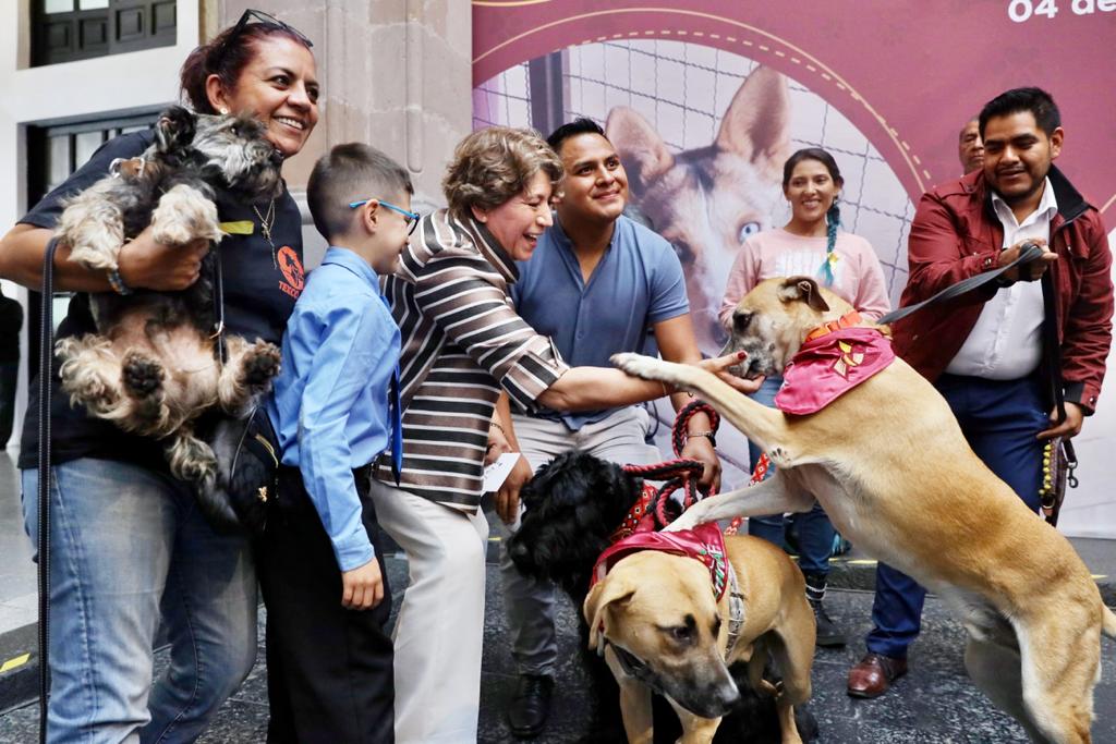 Gobierno de Delfina Gómez activa programa para frenar crecimiento de perros&nbsp;callejeros