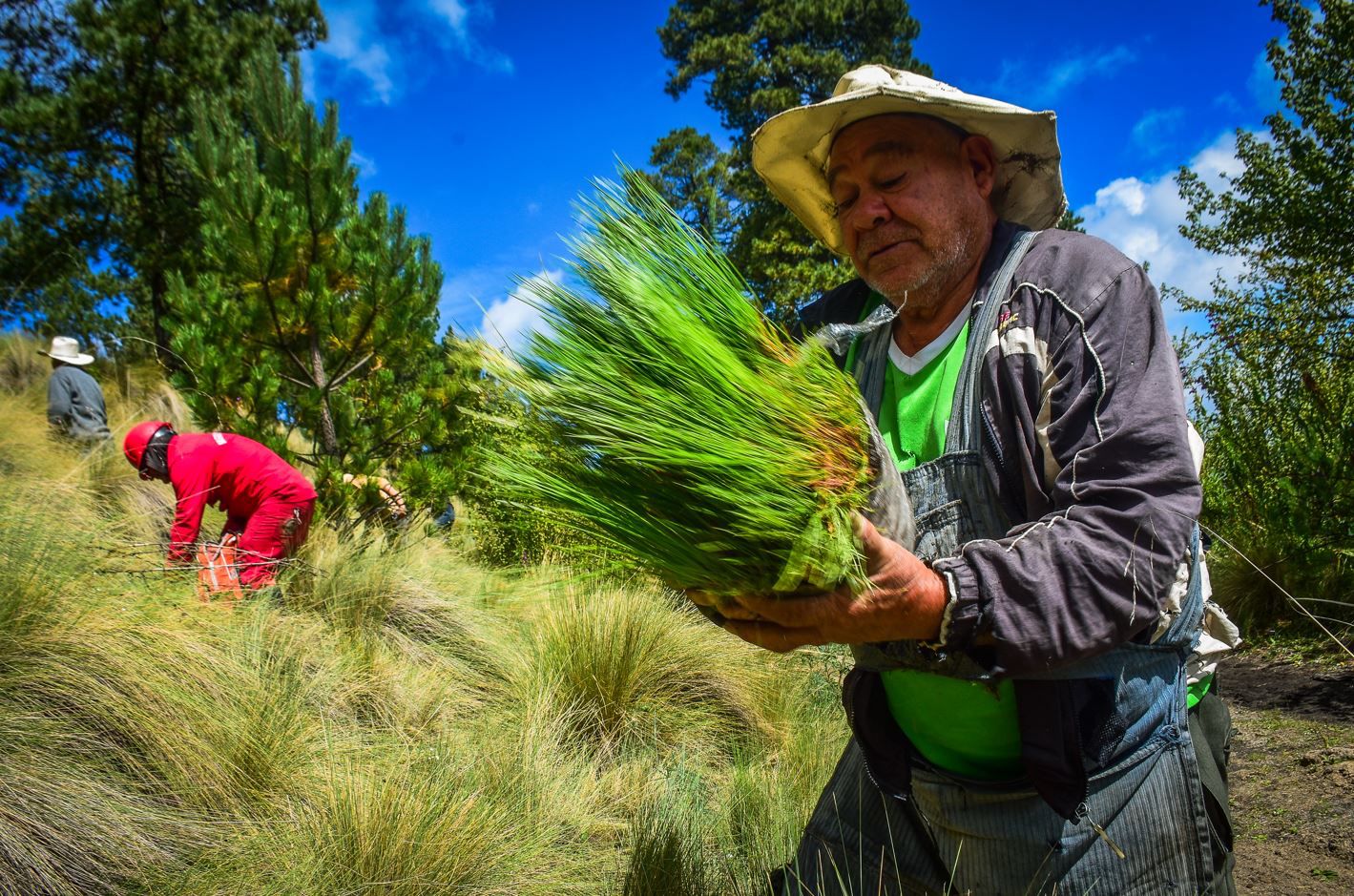 Eugenia Rojano Valdés, Secretaria del Campo del Edomex pide a agricultores registrarse para obtener beneficios