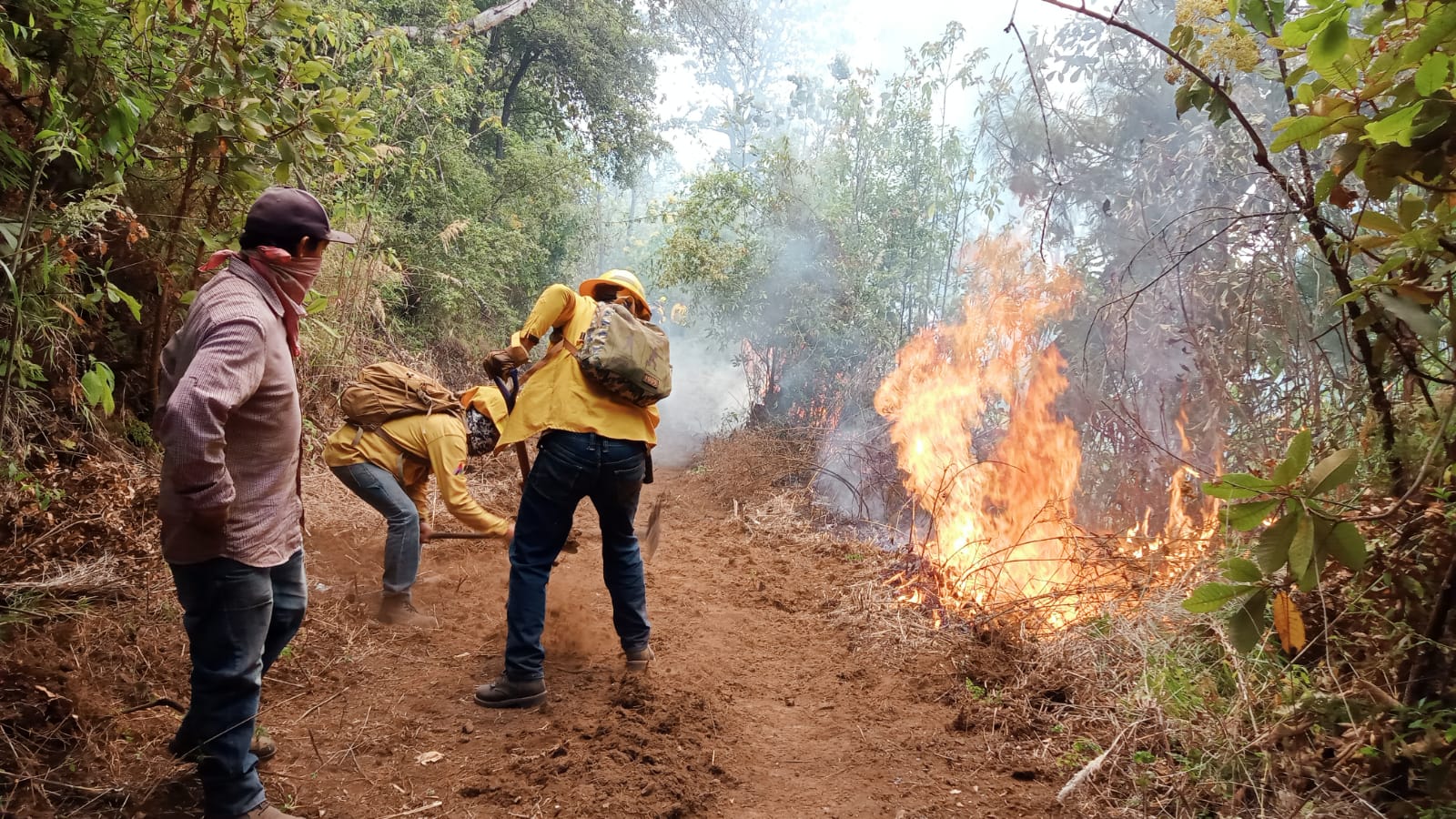 Se mantienen 18 incendios activos en Edomex, al medio día del miércoles: Probosque