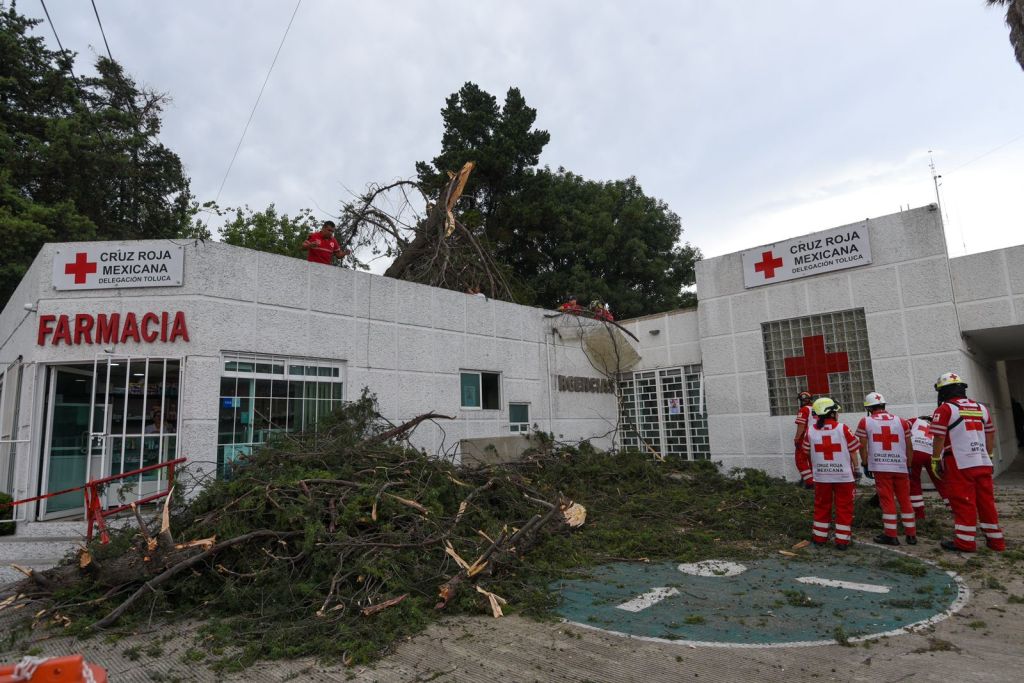 Caída de árbol no afectó a instalaciones de Cruz&nbsp;Roja