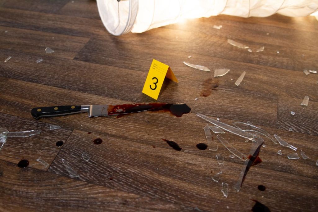 Acusa Fiscalía a Emilio por, presuntamente, acabar con la vida de su&nbsp;abuelita