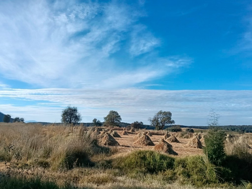 Suspende EdoMéx Contingencia Ambiental Atmosférica Fase&nbsp;I