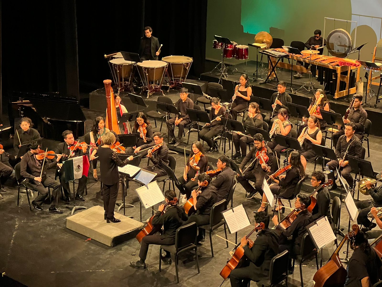 Forma parte de la Orquesta Filarmónica Mexiquense
