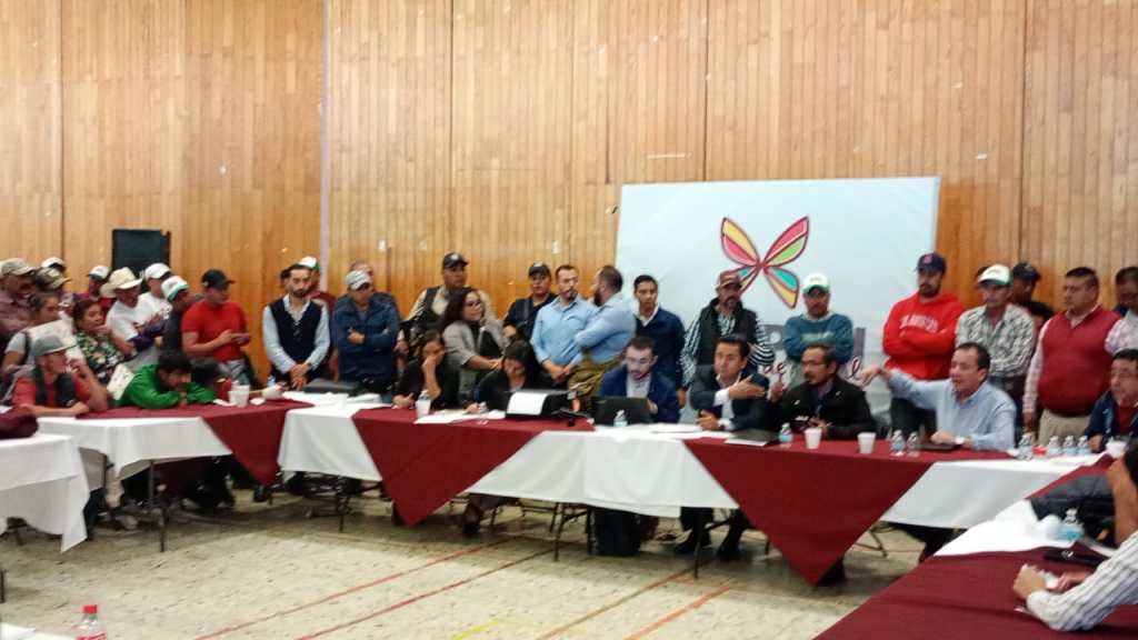 Comuneros acusan que en sur tala clandestina no para; exigen acciones&nbsp;contundentes