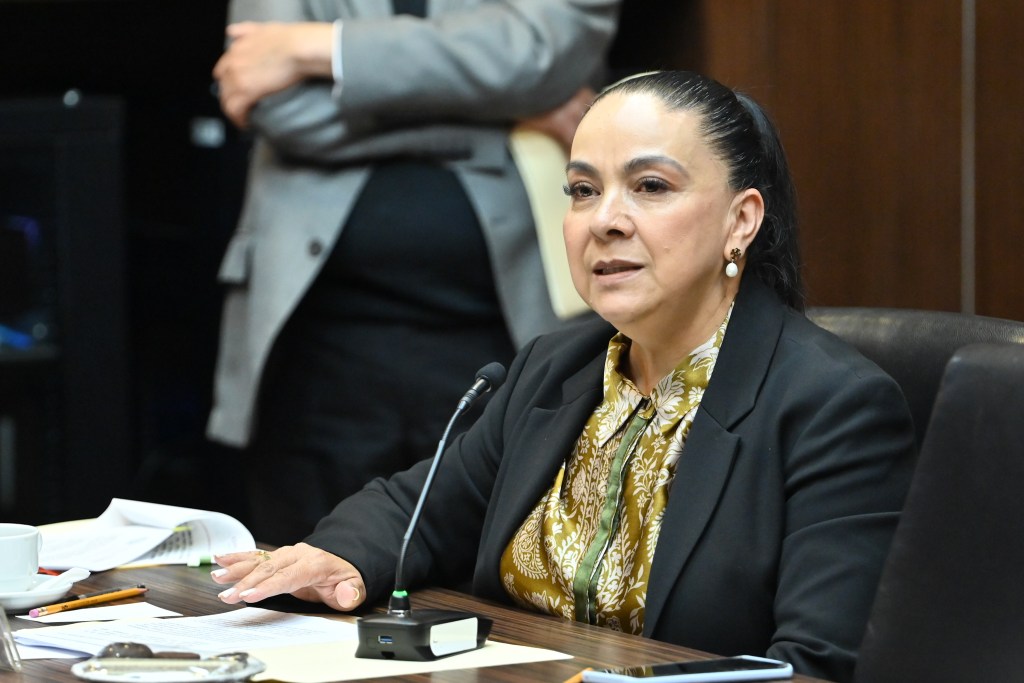 Diputada Maricela Beltrán de MC hizo posible la «Ley Silla» en&nbsp;Edomex