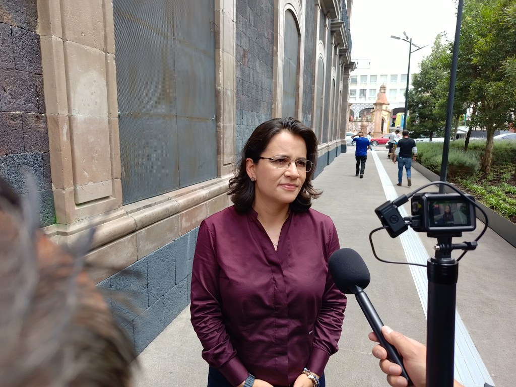 Al partido morena vengo a sumar: Paola&nbsp;Jiménez